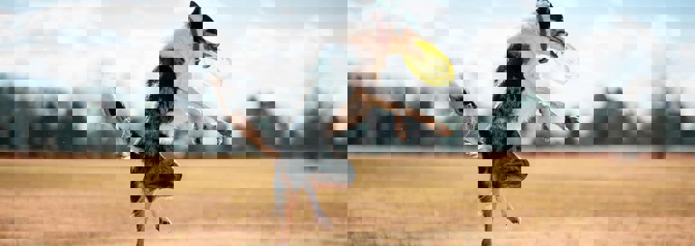 Pexels Zante 6528158 Min