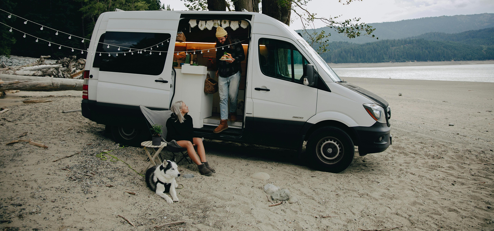 Pexels Pnw Prod 9354592Camperdog