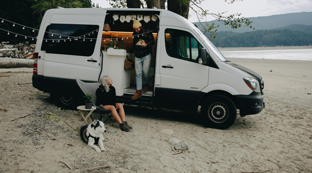 Pexels Pnw Prod 9354592Camperdog