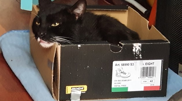 Heok4lmi Mich Gevonden (1)