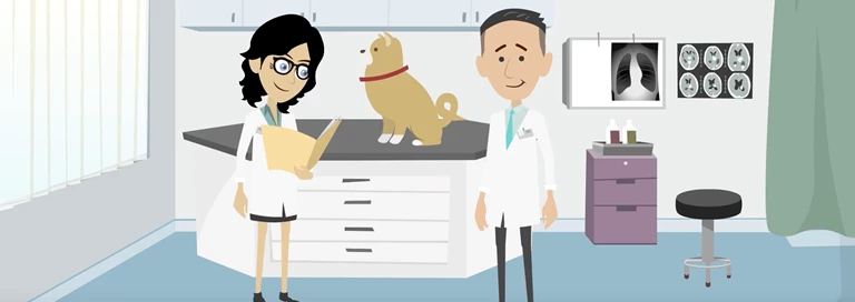 Amik Screenshot Animatie Chippen