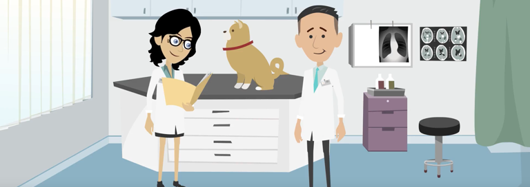 Amik Screenshot Animatie Chippen