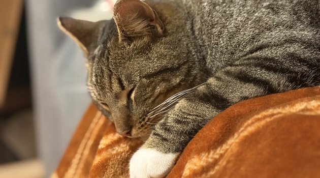 By1ox0p7 Img 8968 0405