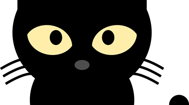 zwarte-kat.png