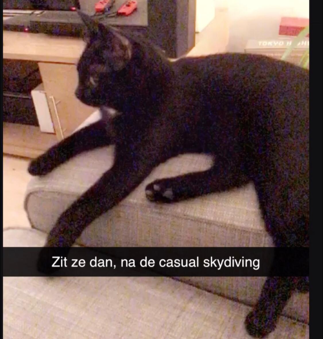 k132wmn2_minou-gevonden.jpeg