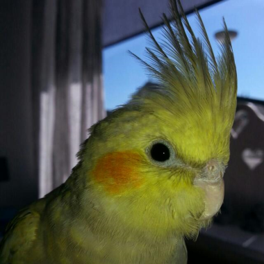 0
