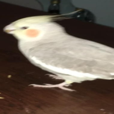 0