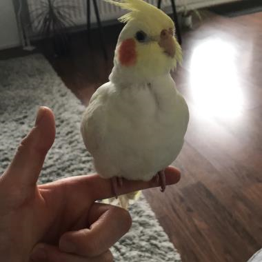 0
