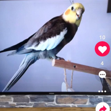 0