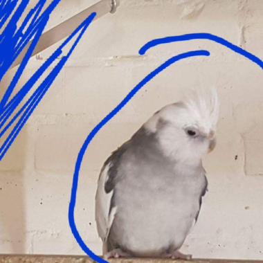 0
