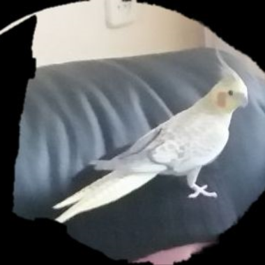 0