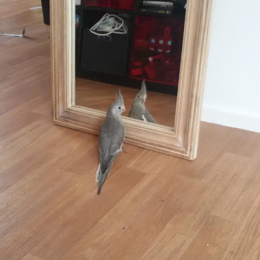 0