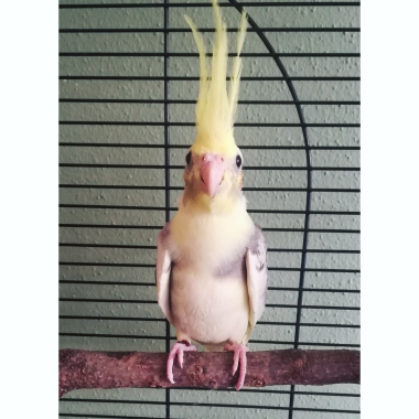 0