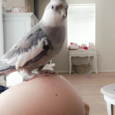 0