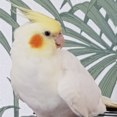 0