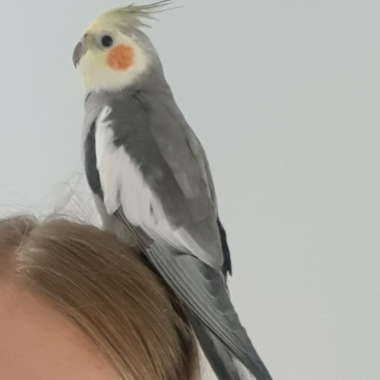 0