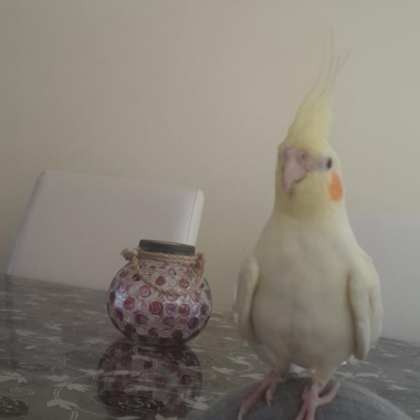 0