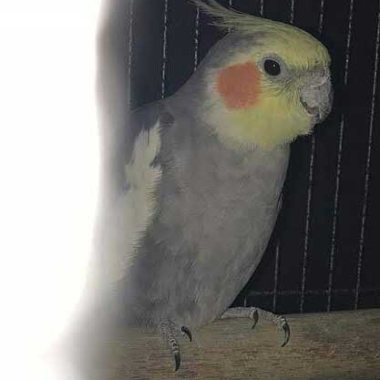 0
