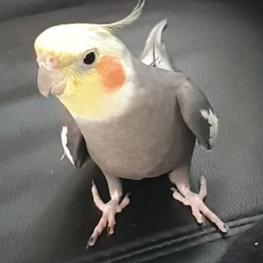 0