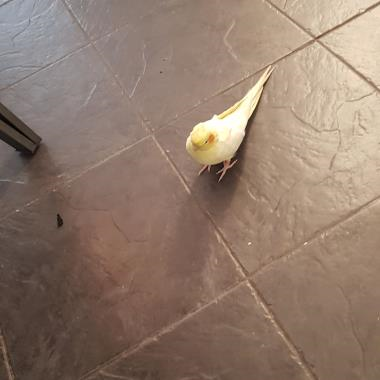 0