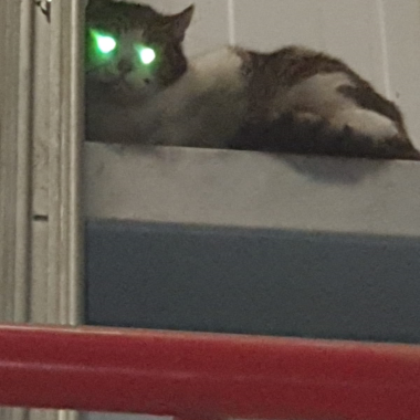 0
