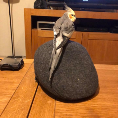 0