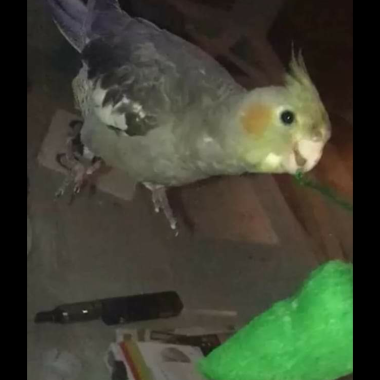 0