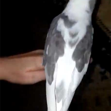 0