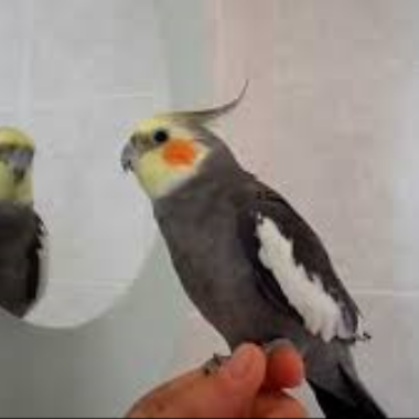 0