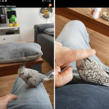 0