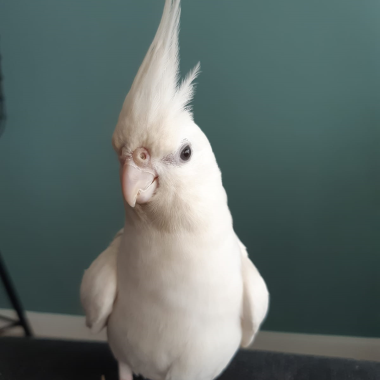 0
