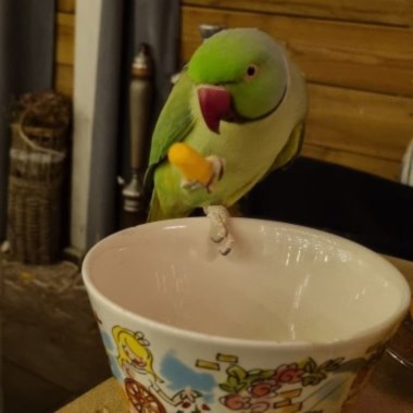 0