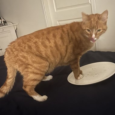 0