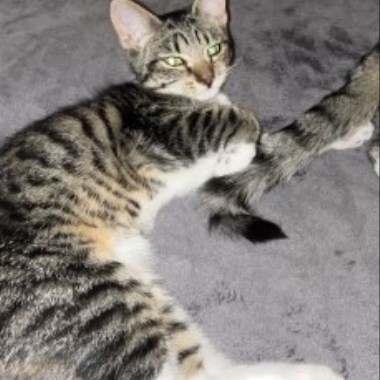 0