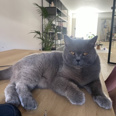 0