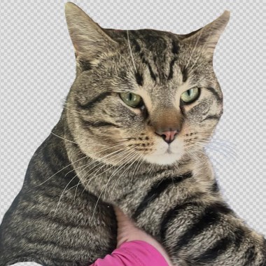 0