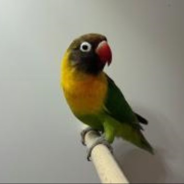 0