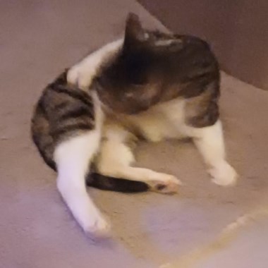 0