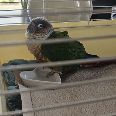 0