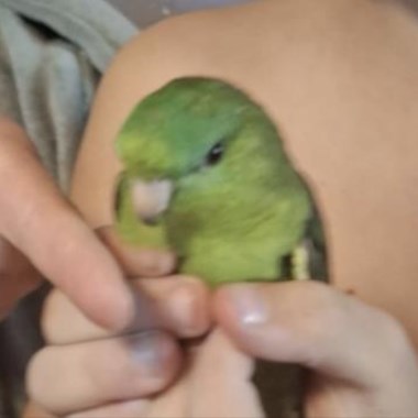 0