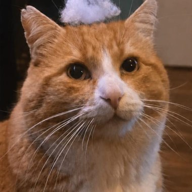 0