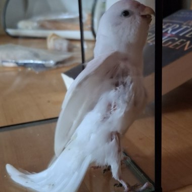 0