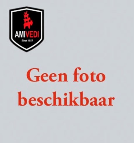 Hond Kruising