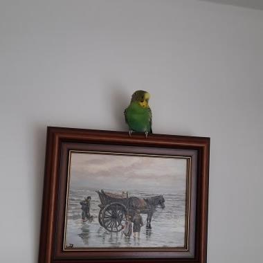 0