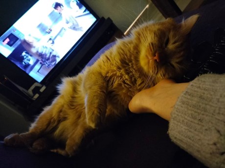Kat Langharig