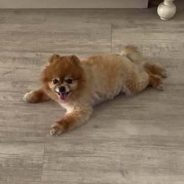0