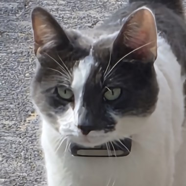 0