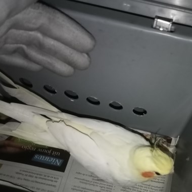 0
