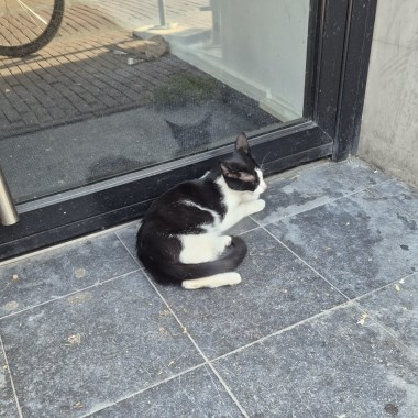 0