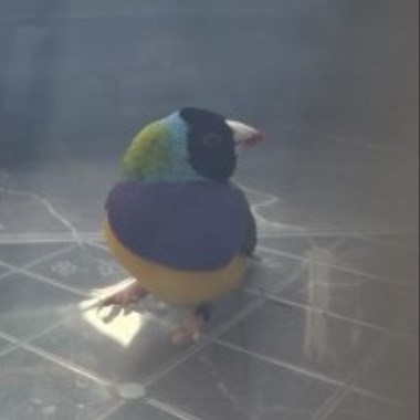 0